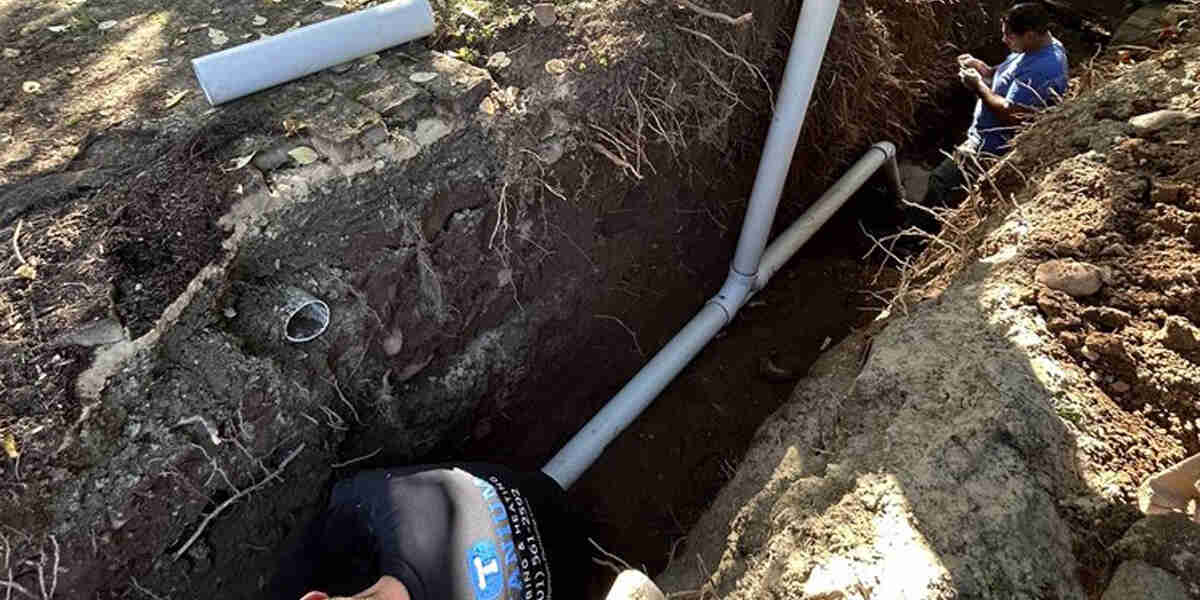 roots in sewer line