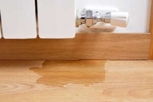 hidden water leak staining a wall in an Oakland NJ home